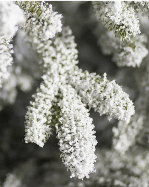 Aspen Snowfall Tree™